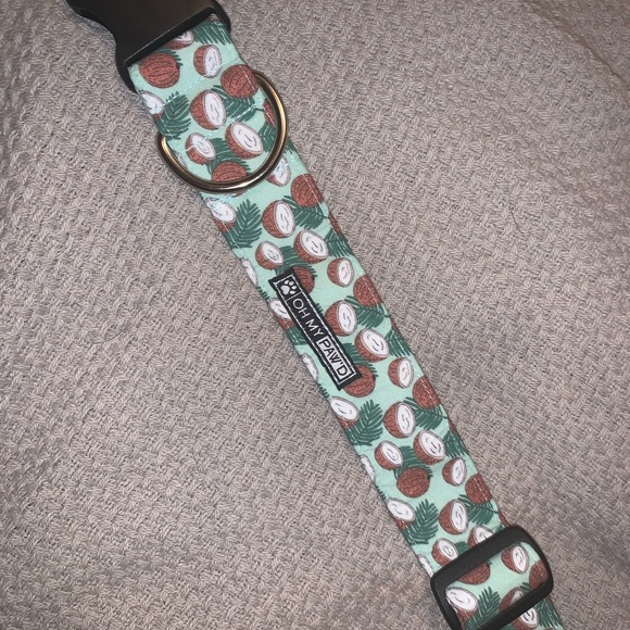 Dog Collar - Picture 3 of 5